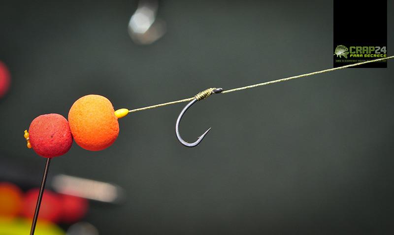 Monturi - 22-asa-arata-montura-finala.jpg